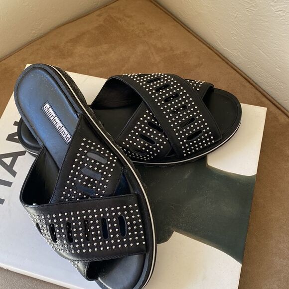 Charles David Slide NWOT - Picture 3 of 8